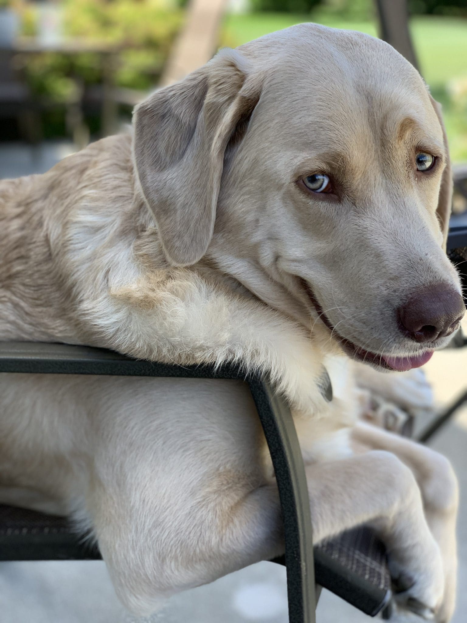 Finn being a good boy!