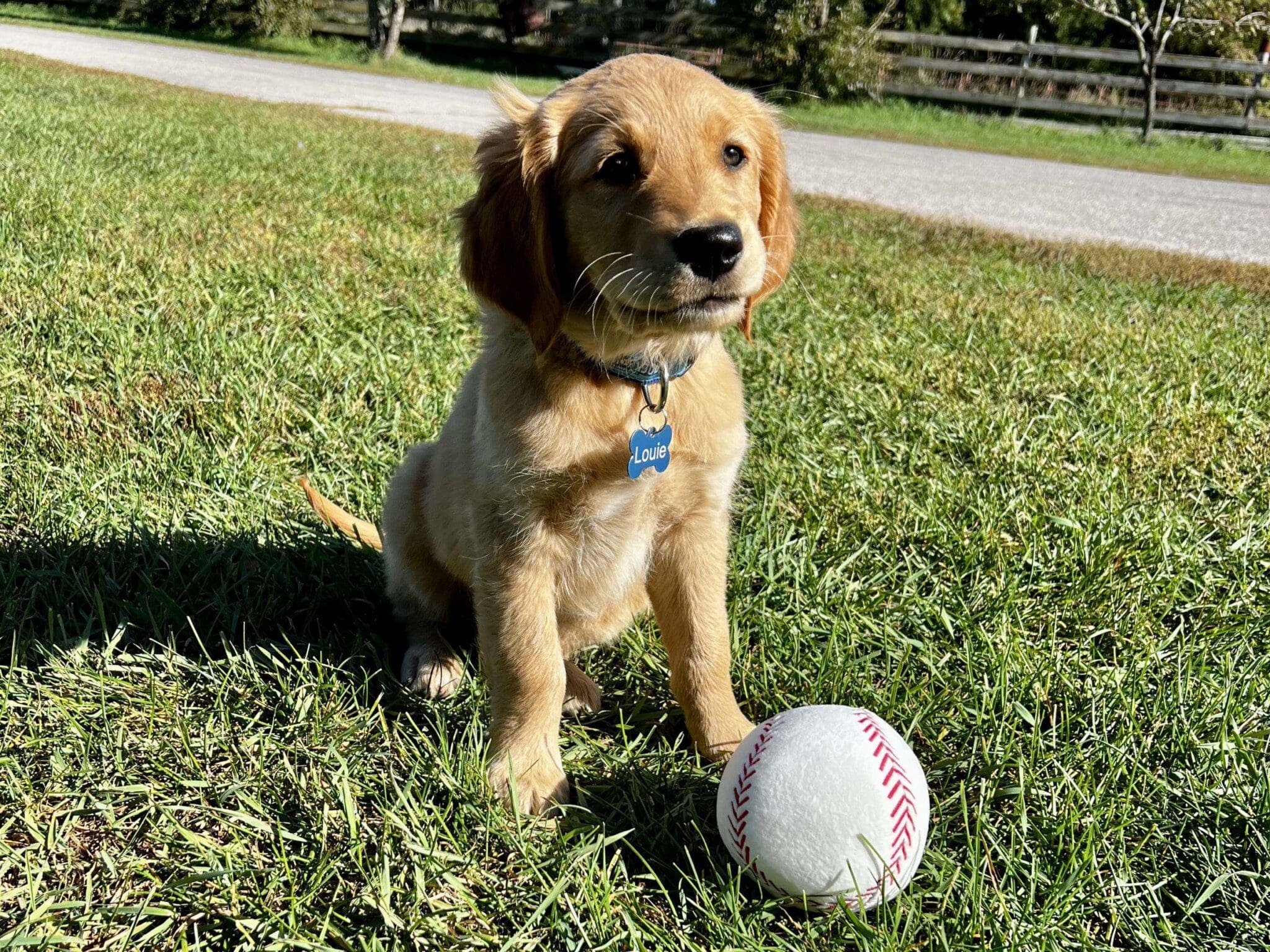 Louie ready to pitch