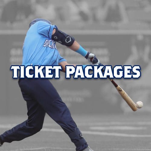 Ticket packages for Lake Country DockHounds