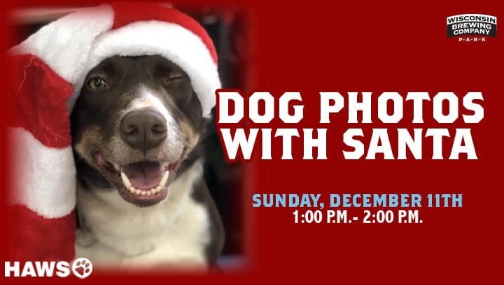 Dog photos with santa sponsored by Haws 2023