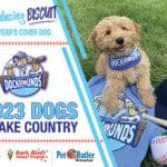2023 Dogs of Lake Country Deals of December