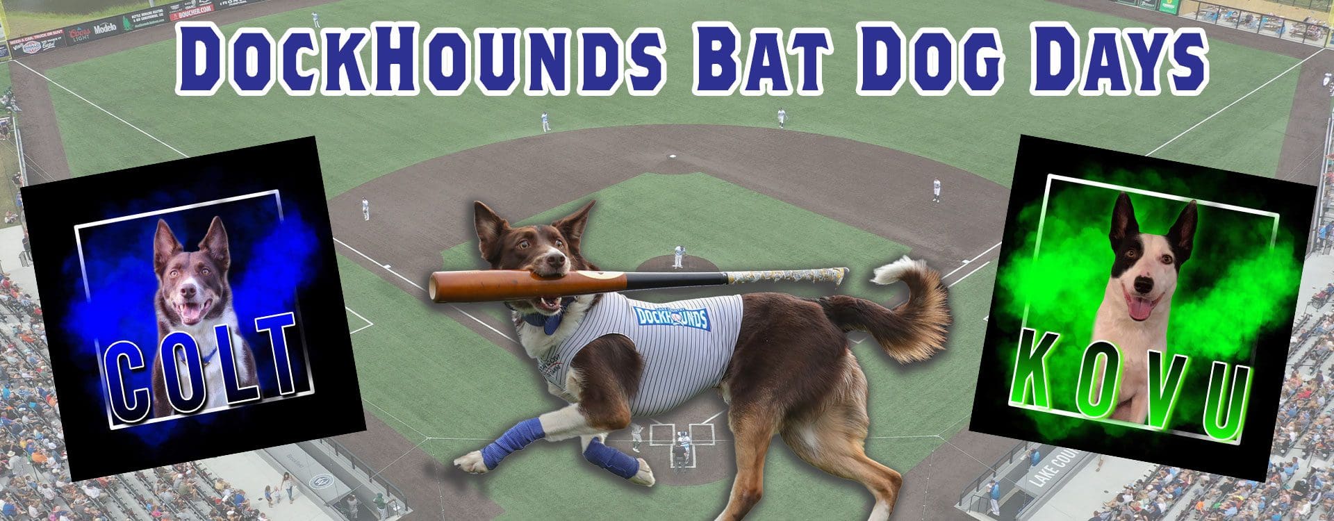DockHounds bat dogs, Colt and Kovu 2023 appearance schedule