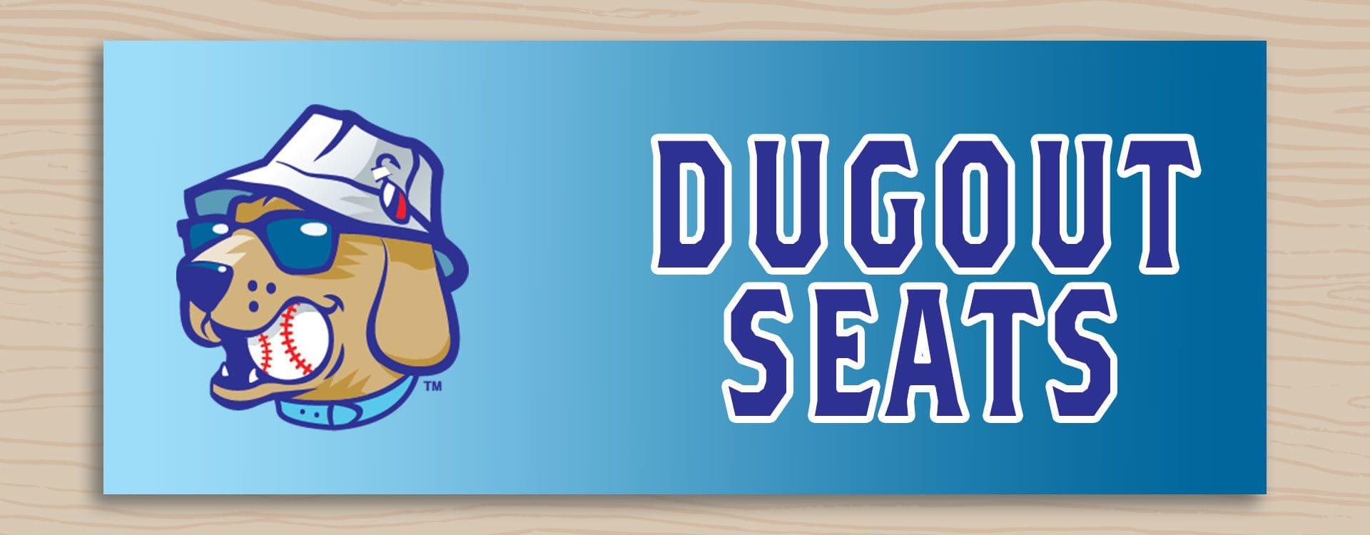 Dugout seating season ticket options