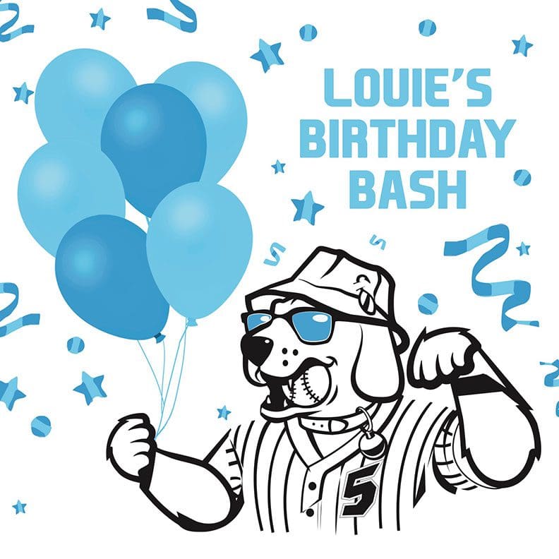 Birthday Bash with baloons