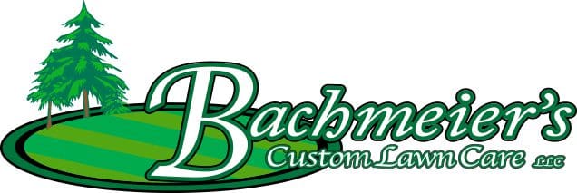 Bachmeier's