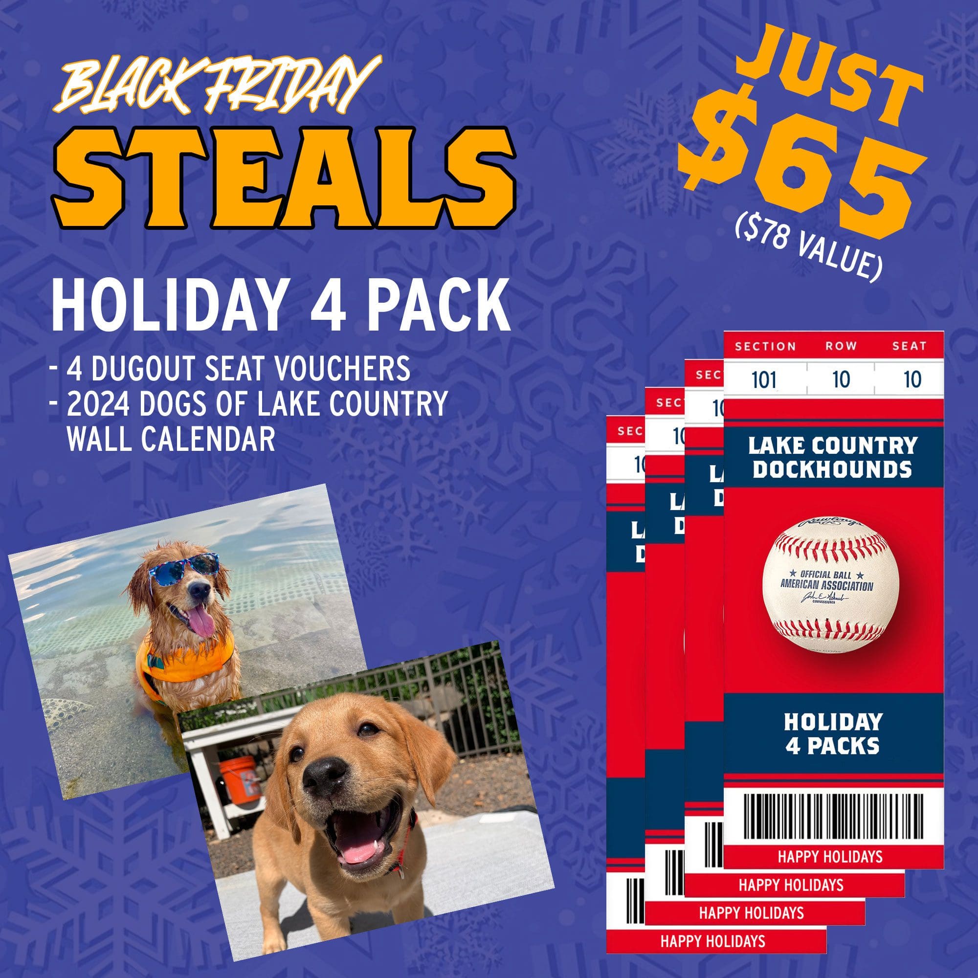 Holiday 4 pack black friday steal