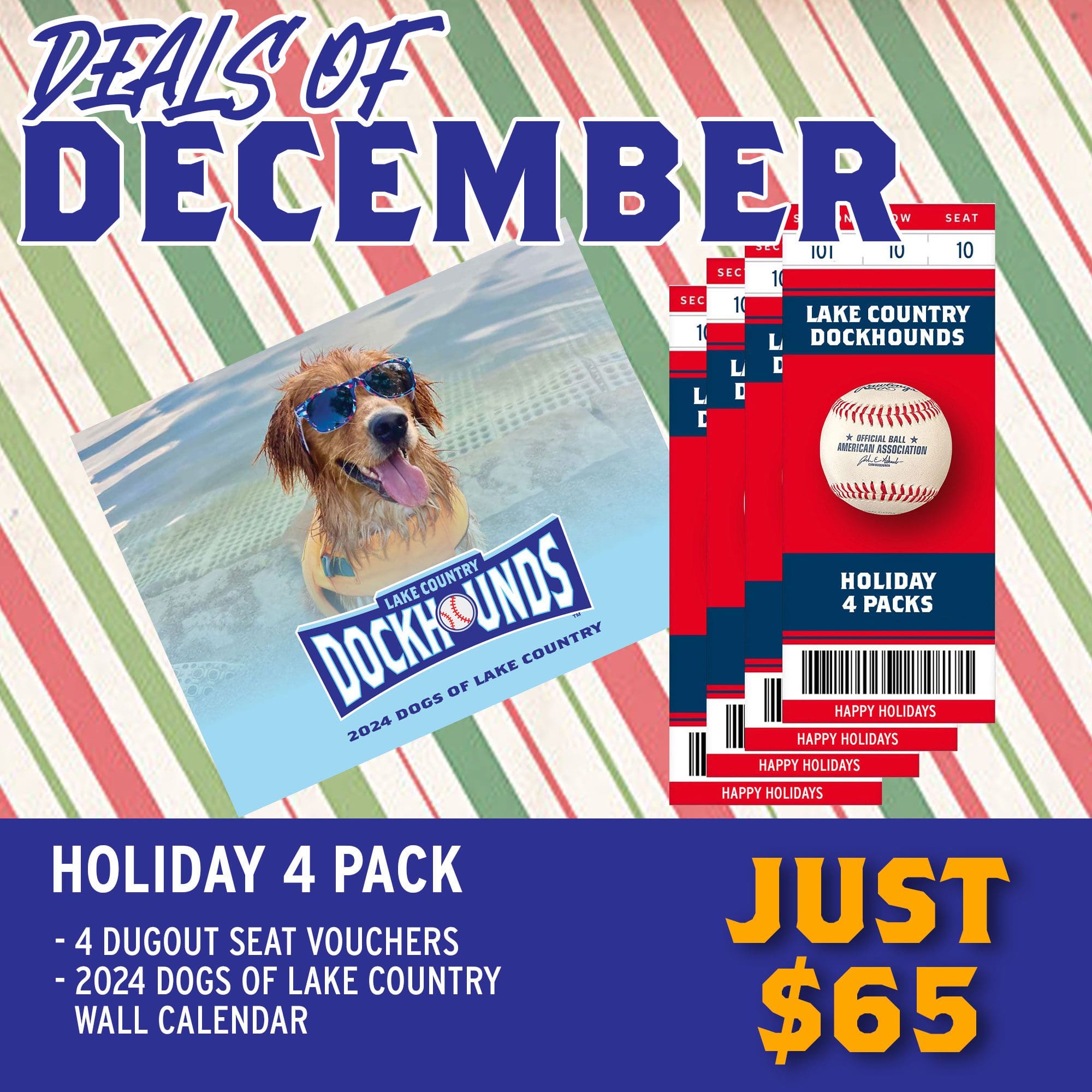 Holiday 4 Pack for 2024