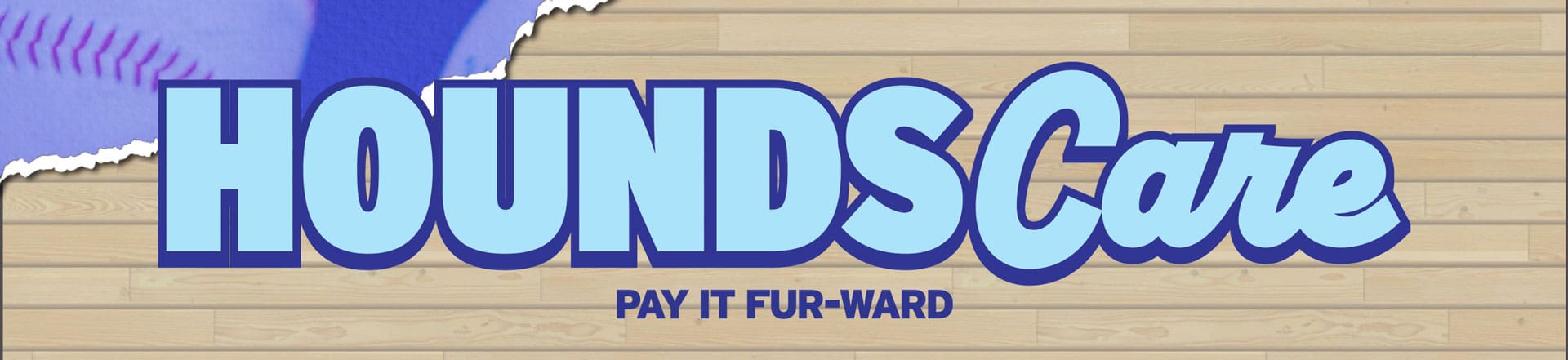 The DockHounds are looking for non-profit organizations to donate $250,000 to.